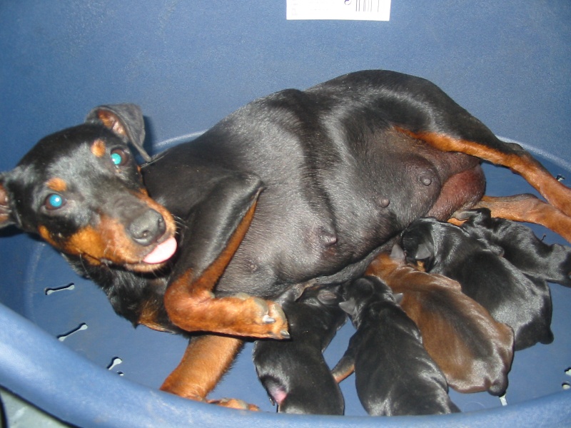BéBés 2012