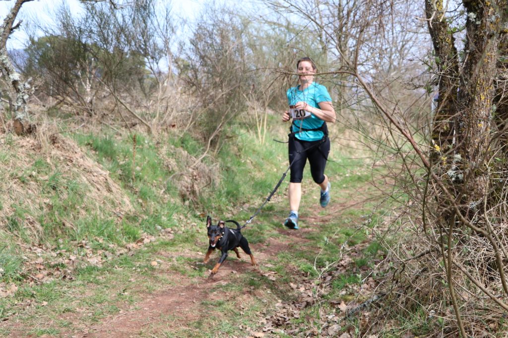 canicross avec KIKO