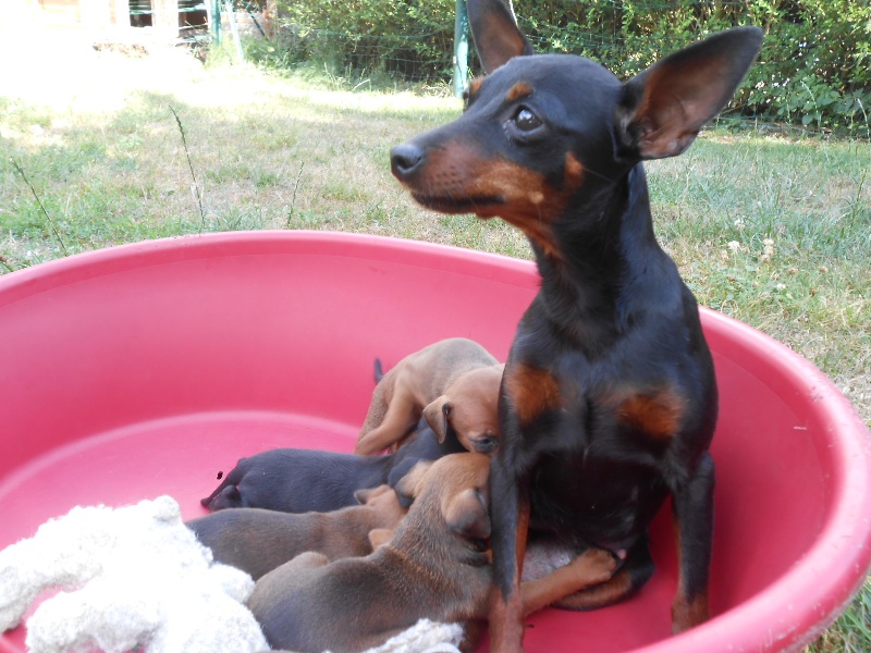 BEBEs DE GABY