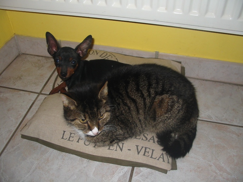 l'Amour fou !